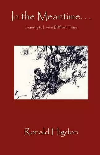 In the Meantime cover