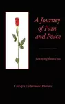 A Journey of Peace and Pain cover