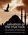 Salvation of the True Rock cover