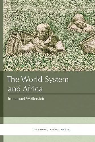 The World-System and Africa cover