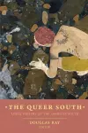 The Queer South cover