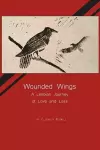 Wounded Wings cover