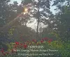 Summer in the Creasey Mahan Nature Preserve cover