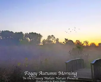 Foggy Autumn Morning cover