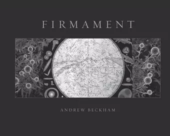 Firmament: Deluxe Edition cover