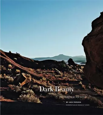 Dark Beauty cover