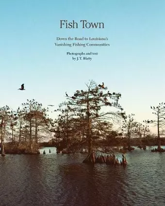 Fish Town cover