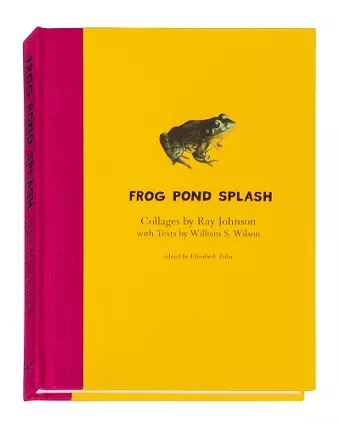 Ray Johnson and William S. Wilson: Frog Pond Splash cover