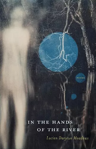 In the Hands of the River cover