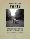 Paris, Before It Is Too Late cover