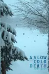 A Slow Cold Death cover