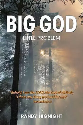 Big God, Little Problem cover