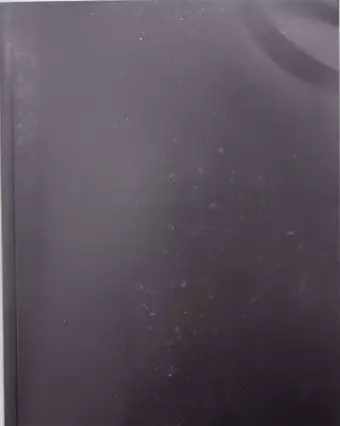 The Shatterer Book cover