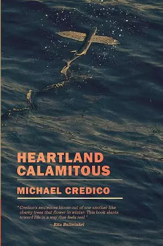 Heartland Calamitous cover