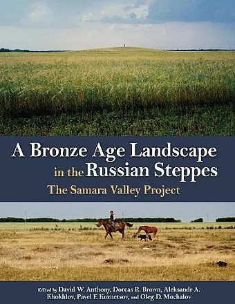 A Bronze Age Landscape in the Russian Steppes cover