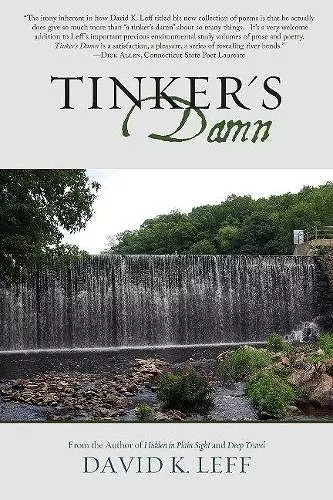 Tinker's Damn cover