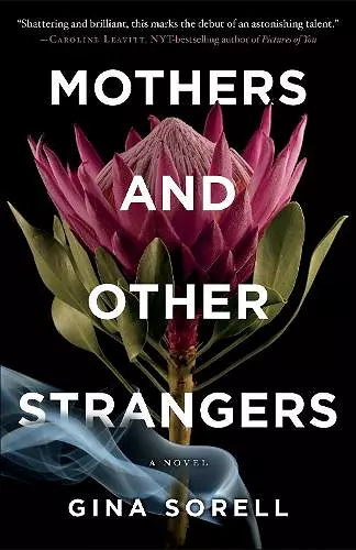 Mothers and Other Strangers cover