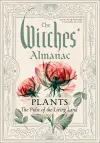 The Witches' Almanac 2027–2028 Standard Edition Issue 46 cover