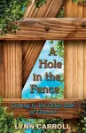 A Hole in the Fence cover