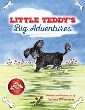 Little Teddy's Big Adventures cover