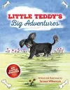 Little Teddy's Big Adventures cover