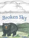 Broken Sky cover