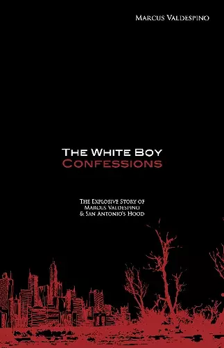 White Boy Confessions cover