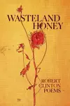 Wasteland Honey cover