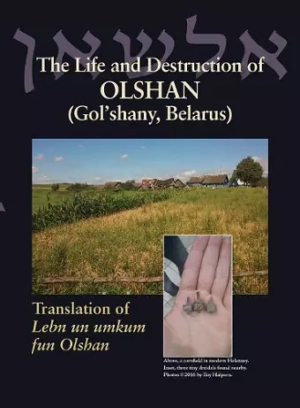 The Life and Destruction of Olshan (Gol'shany, Belarus) cover