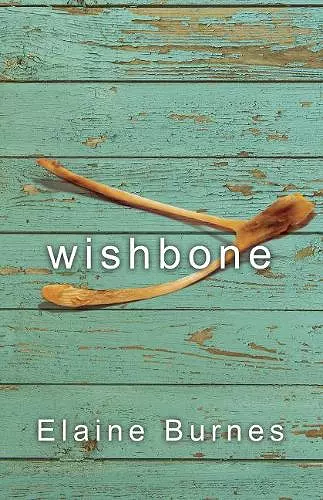 Wishbone cover