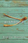 Wishbone cover