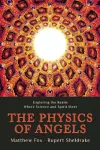The Physics of Angels cover
