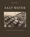 Salt Water cover