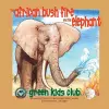 The African Bush Fire and the Elephant cover