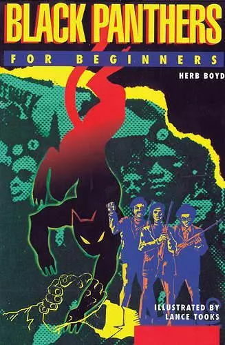 Black Panthers  for Beginners cover