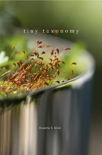Tiny Taxonomy cover