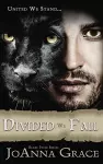 Divided We Fall cover