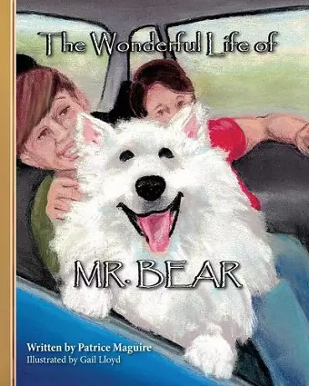 The Wonderful Life of Mr. Bear cover