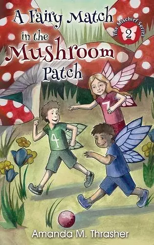 A Fairy Match in the Mushroom Patch cover