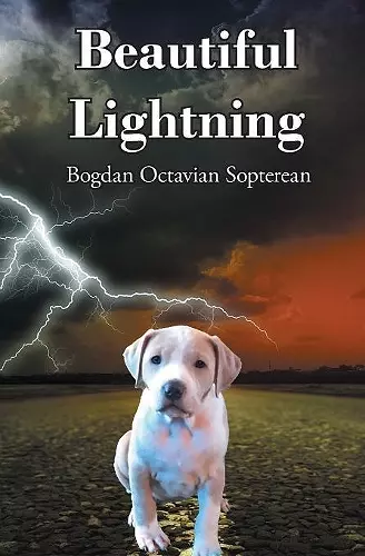 Beautiful Lightning cover