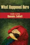 What Happened Here cover