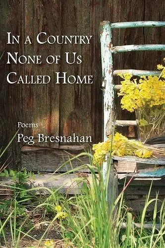 In a Country None of Us Called Home cover