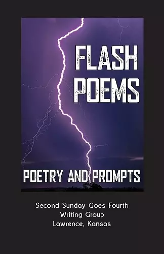 Flash Poems cover