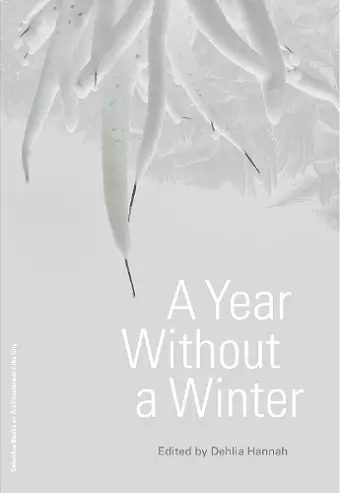 A Year Without a Winter cover