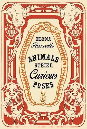 Animals Strike Curious Poses cover