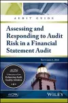 Audit Guide cover