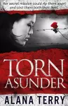 Torn Asunder cover