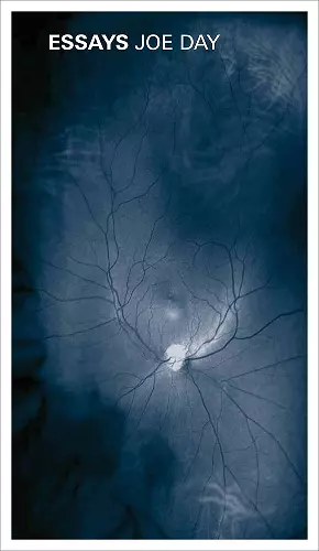 Joe Day: Essays cover