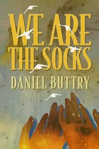 We Are The Socks cover