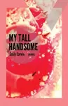 My Tall Handsome cover